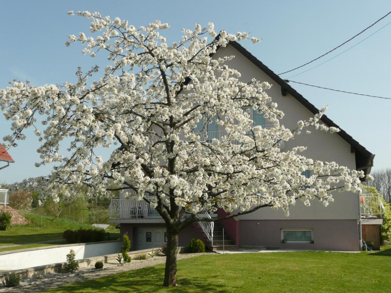 Bed and Breakfast Chez Anny Et Jean Au Mittelbuehl-Reichshoffen Zewnętrze zdjęcie