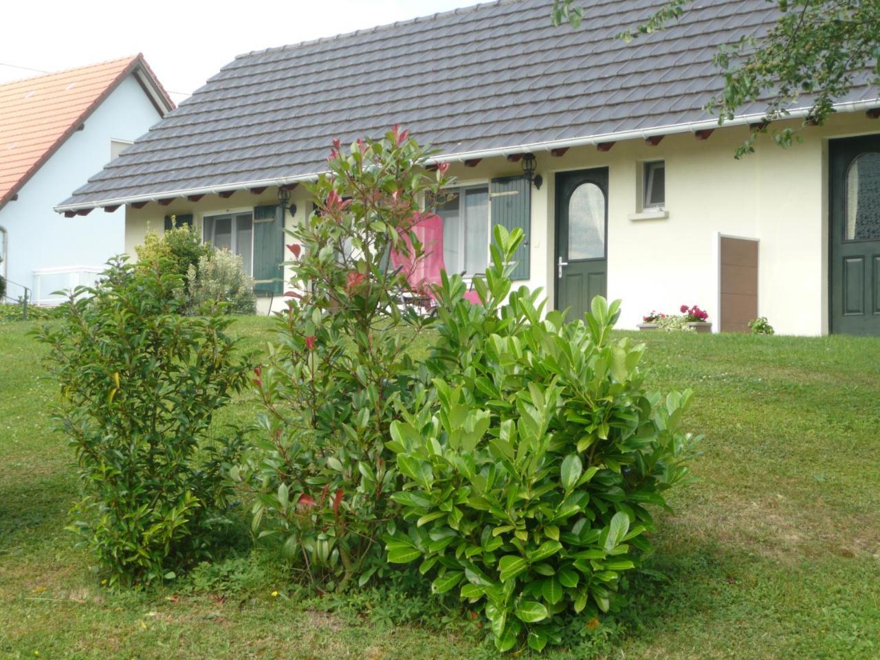 Bed and Breakfast Chez Anny Et Jean Au Mittelbuehl-Reichshoffen Zewnętrze zdjęcie